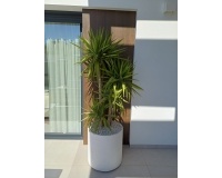 Revente - Villa - Rojales - Inland