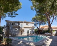Revente - Villa - Rojales - Pueblo Bravo