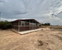 Revente - Villa - San Fulgencio - San Fulgencio Centro