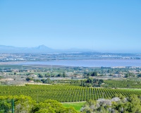 Revente - Villa - San Miguel de Salinas - Inland