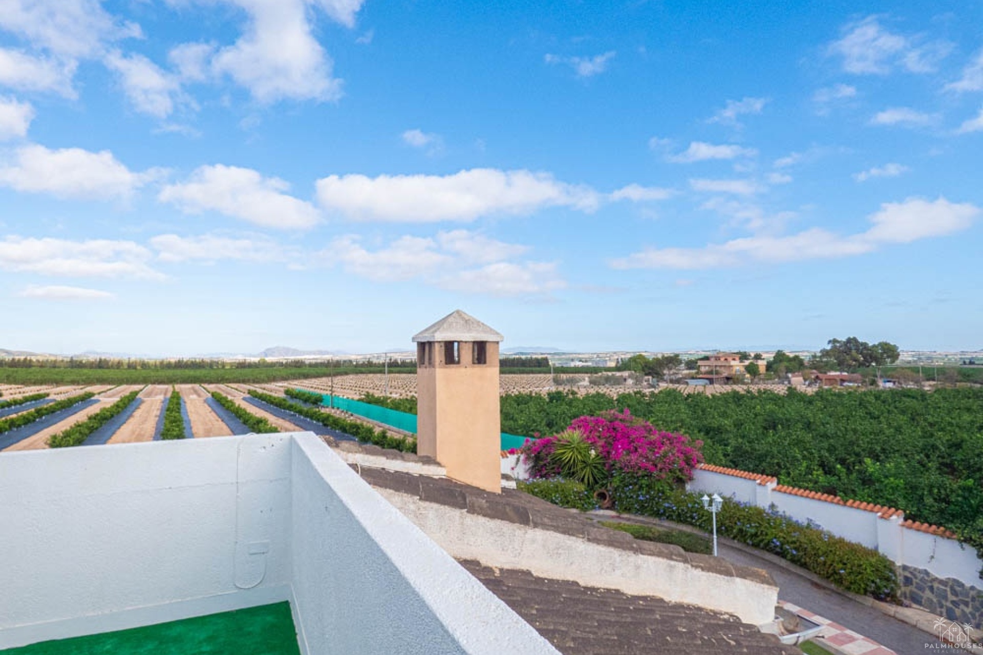 Revente - Villa - San Miguel de Salinas - Inland