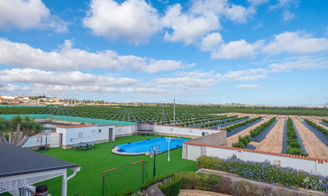 Revente - Villa - San Miguel de Salinas - Inland