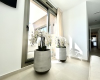 Revente - Villa - San Miguel de Salinas - Inland