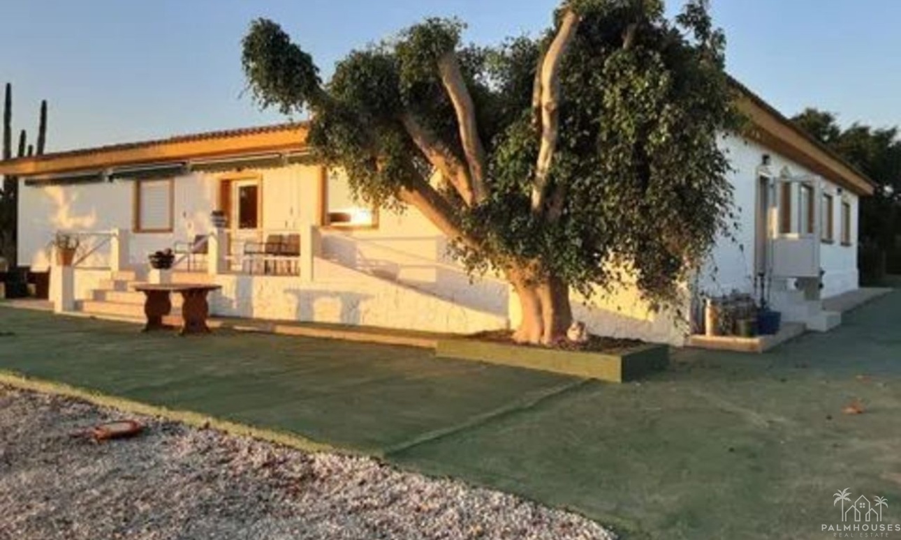 Revente - Villa - San Miguel de Salinas - Inland