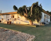 Revente - Villa - San Miguel de Salinas - Inland