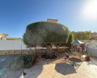 Revente - Villa - San Miguel de Salinas - San Miguel de Salinas Centro