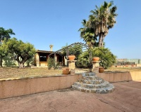 Revente - Villa - San Miguel de Salinas - San Miguel