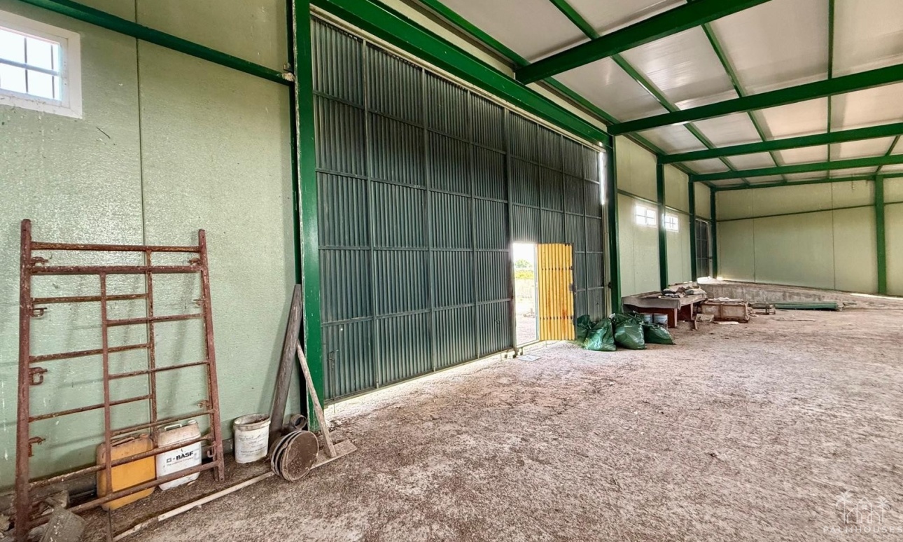 Revente - Villa - San Miguel de Salinas - San Miguel