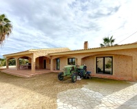 Revente - Villa - San Miguel de Salinas - San Miguel