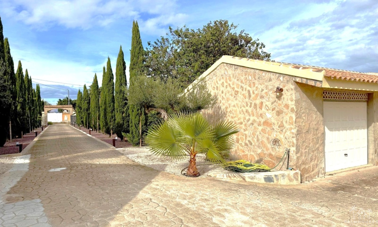 Revente - Villa - San Miguel de Salinas - San Miguel