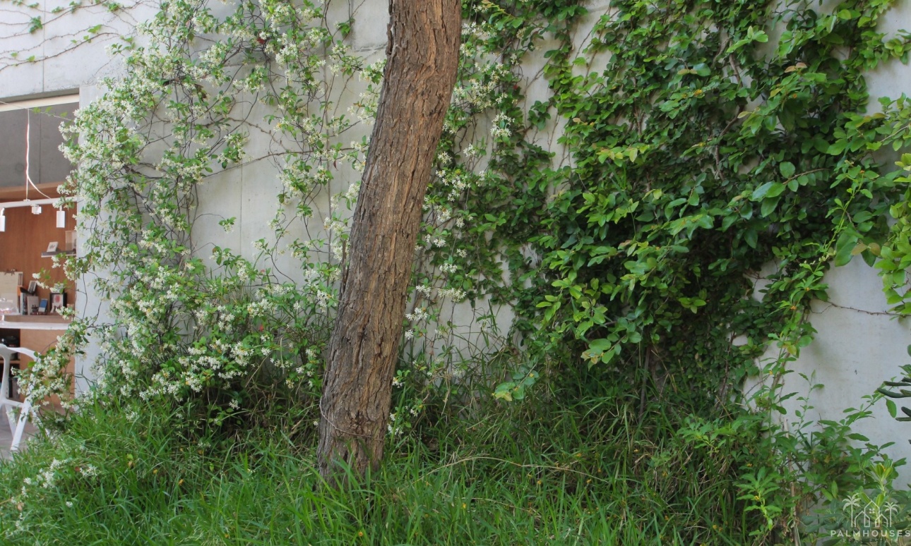 Revente - Villa - San Vicente del Raspeig - Inland
