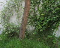 Revente - Villa - San Vicente del Raspeig - Inland