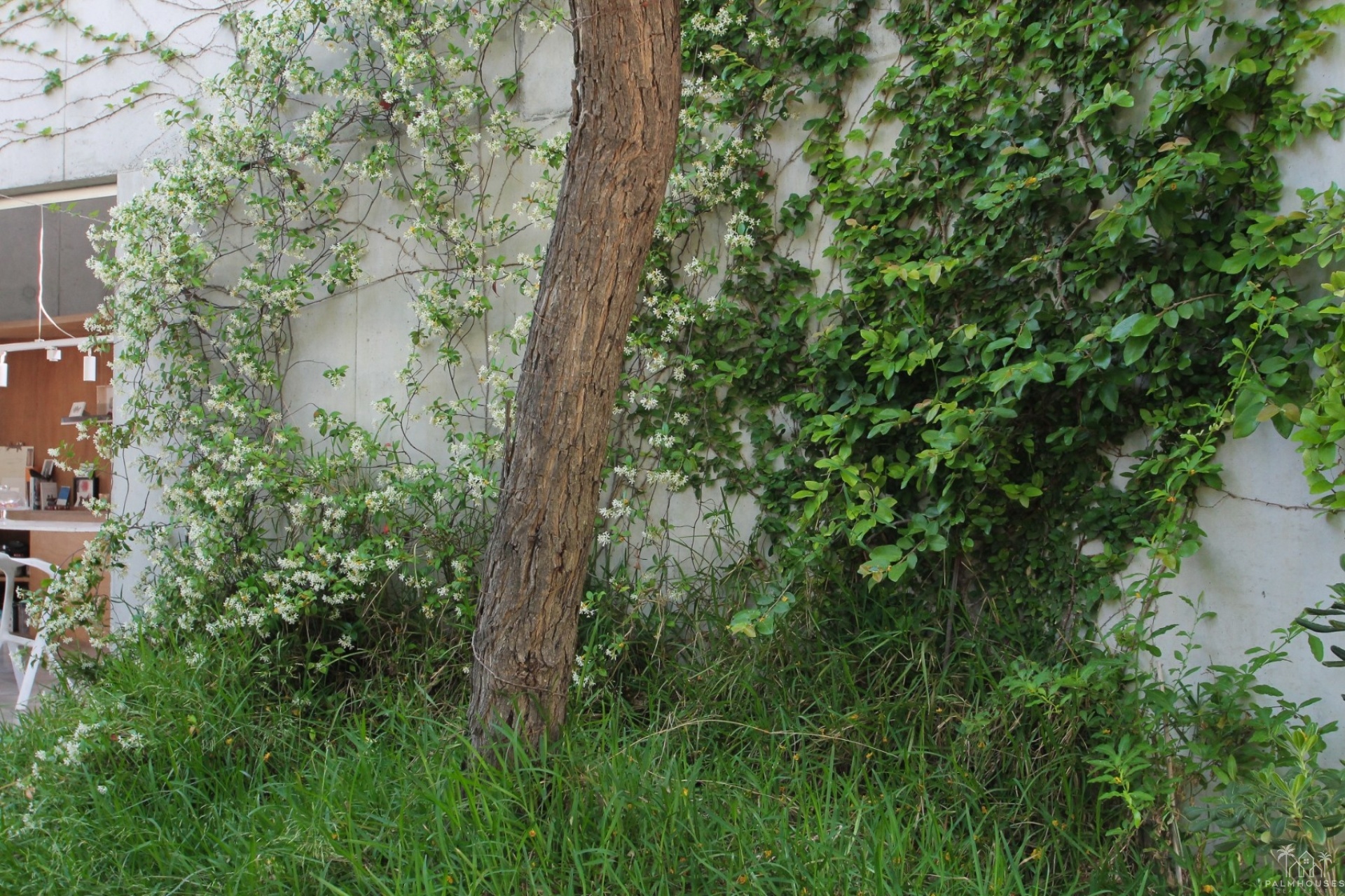 Revente - Villa - San Vicente del Raspeig - Inland