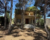 Revente - Villa - Torrevieja - Costa Blanca