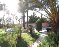 Revente - Villa - Torrevieja - Costa Blanca