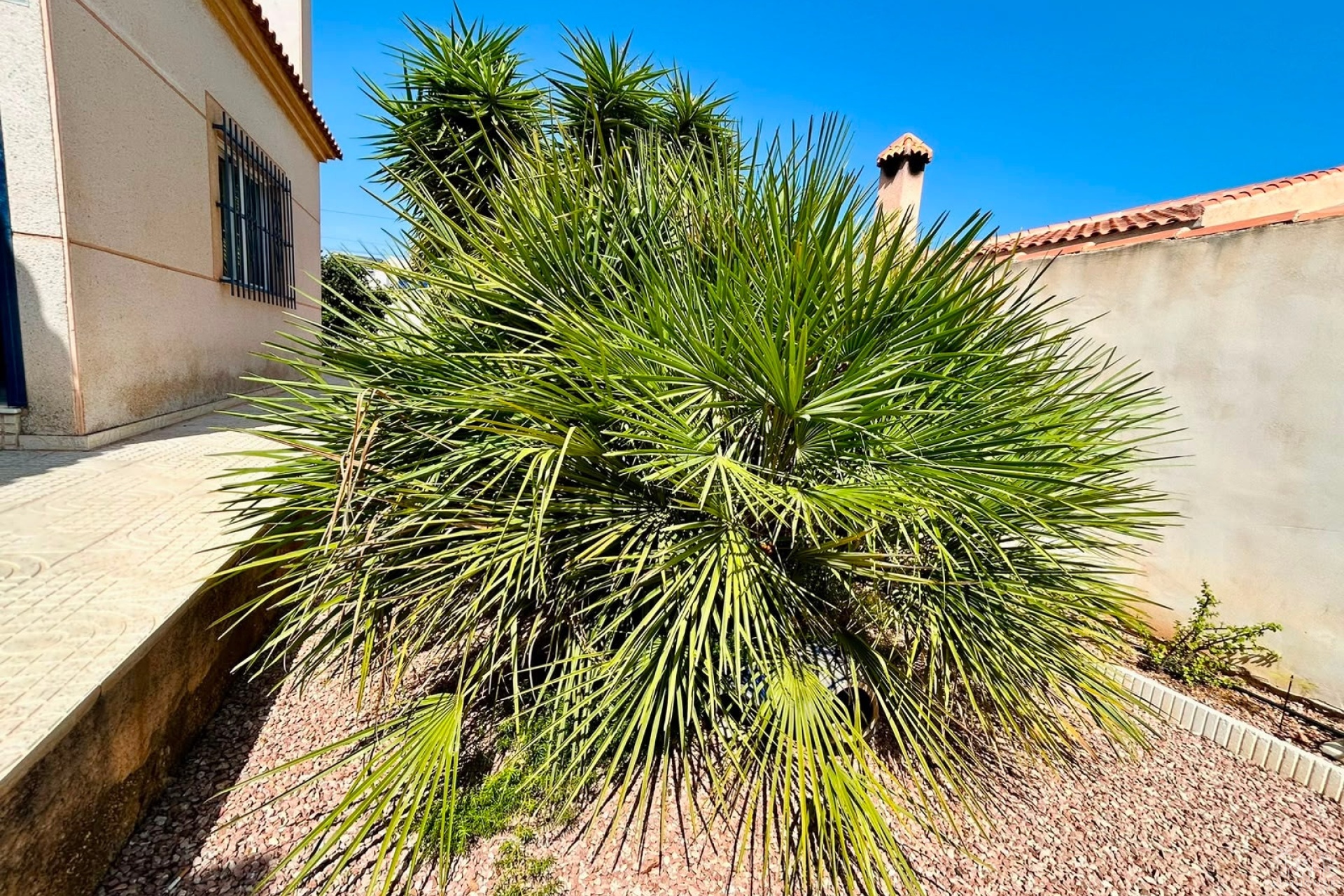 Revente - Villa - Torrevieja - Costa Blanca