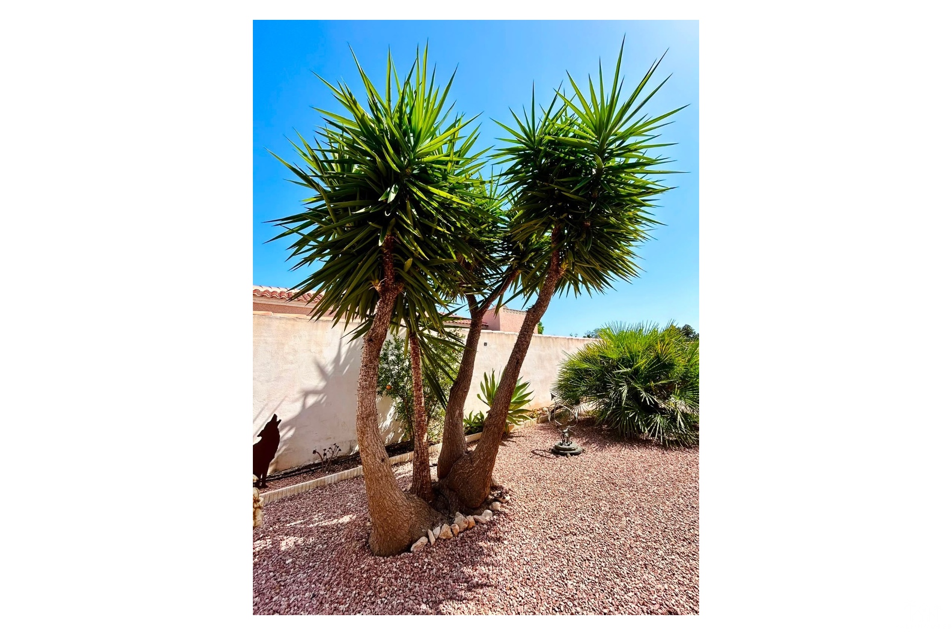 Revente - Villa - Torrevieja - Costa Blanca