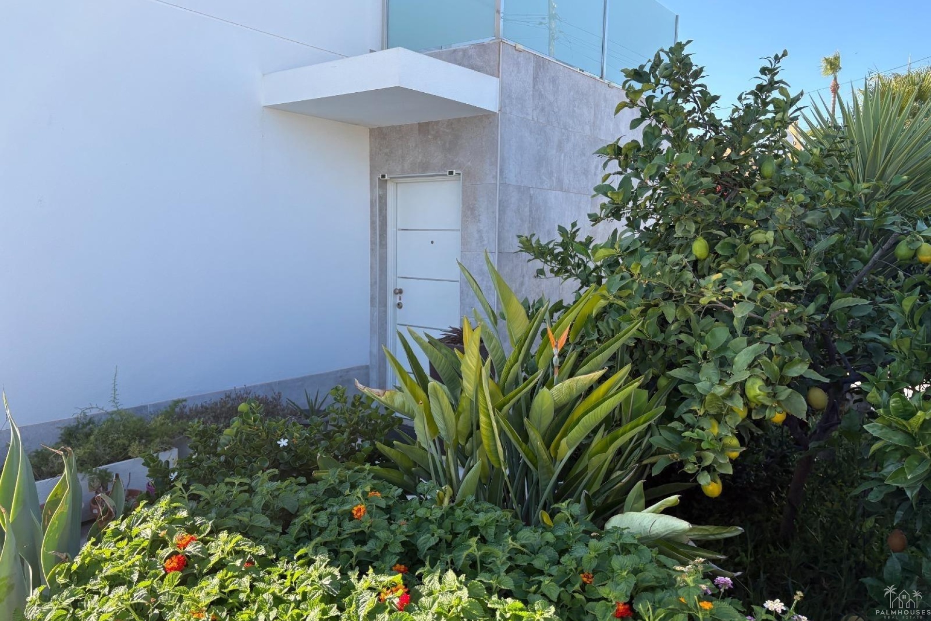 Revente - Villa - Torrevieja - La Siesta