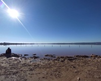 Revente - Villa - Torrevieja - La Siesta