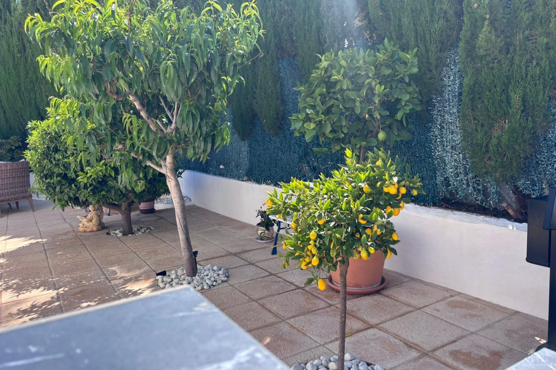 Revente - Villa - Torrevieja - Los Balcones