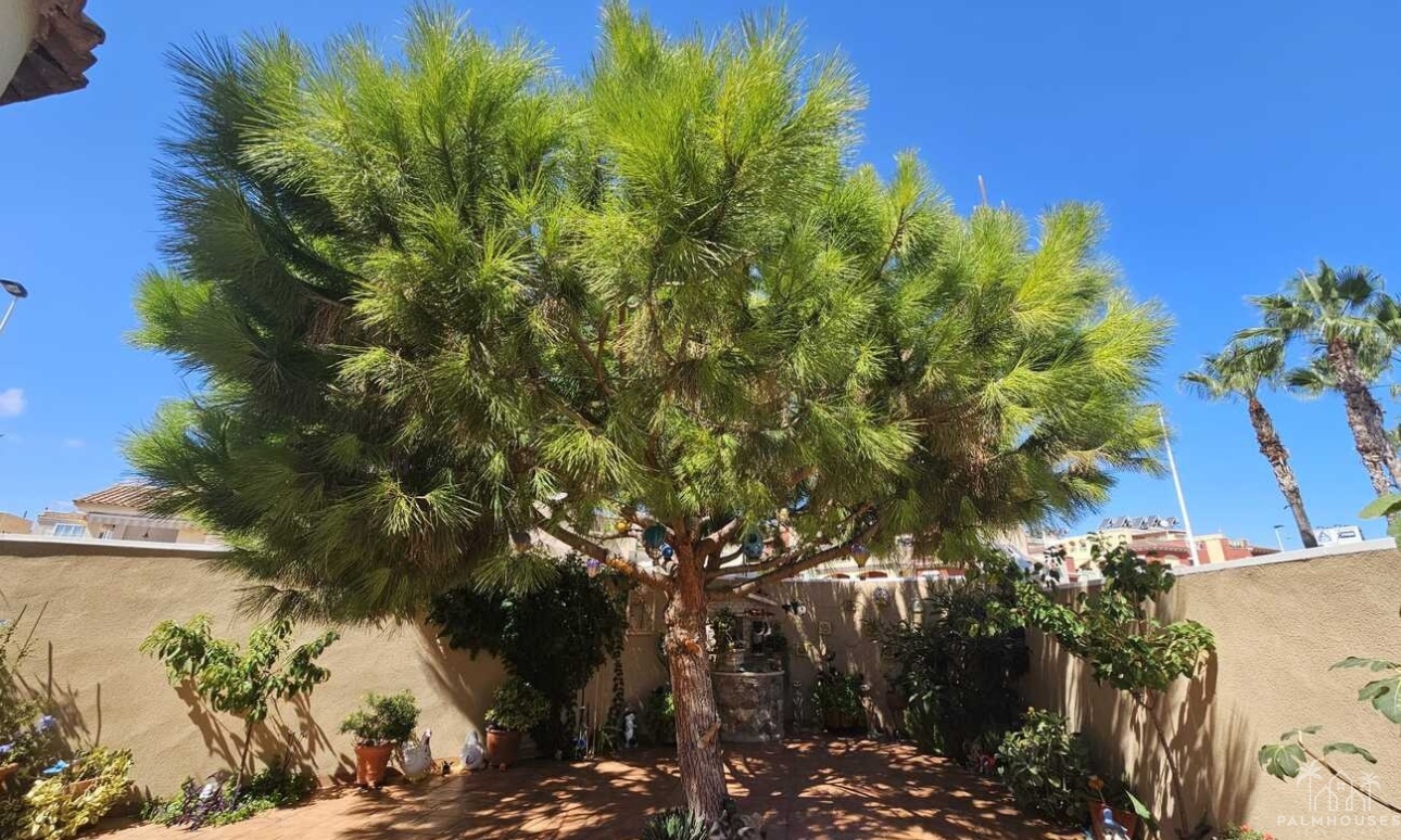 Revente - Villa - Torrevieja - Torre Del Moro