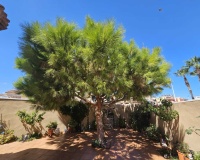 Revente - Villa - Torrevieja - Torre Del Moro