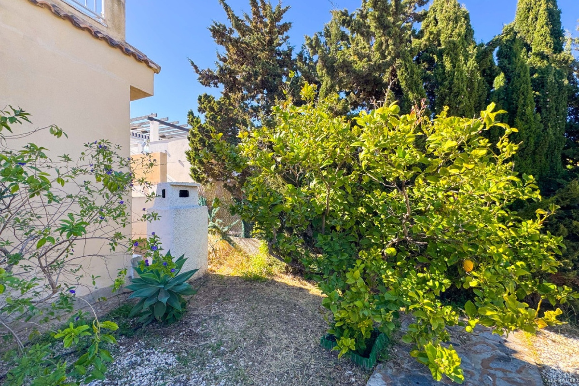 Revente - Villa - Torrevieja - Torre La Mata
