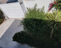 Revente - Villa - Torrevieja - Torreta Florida