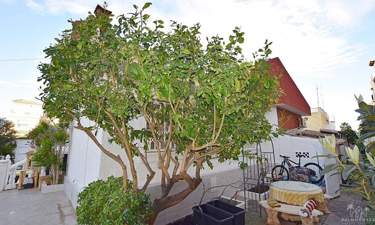 Revente - Villa - Torrevieja - Torrevieja Centro