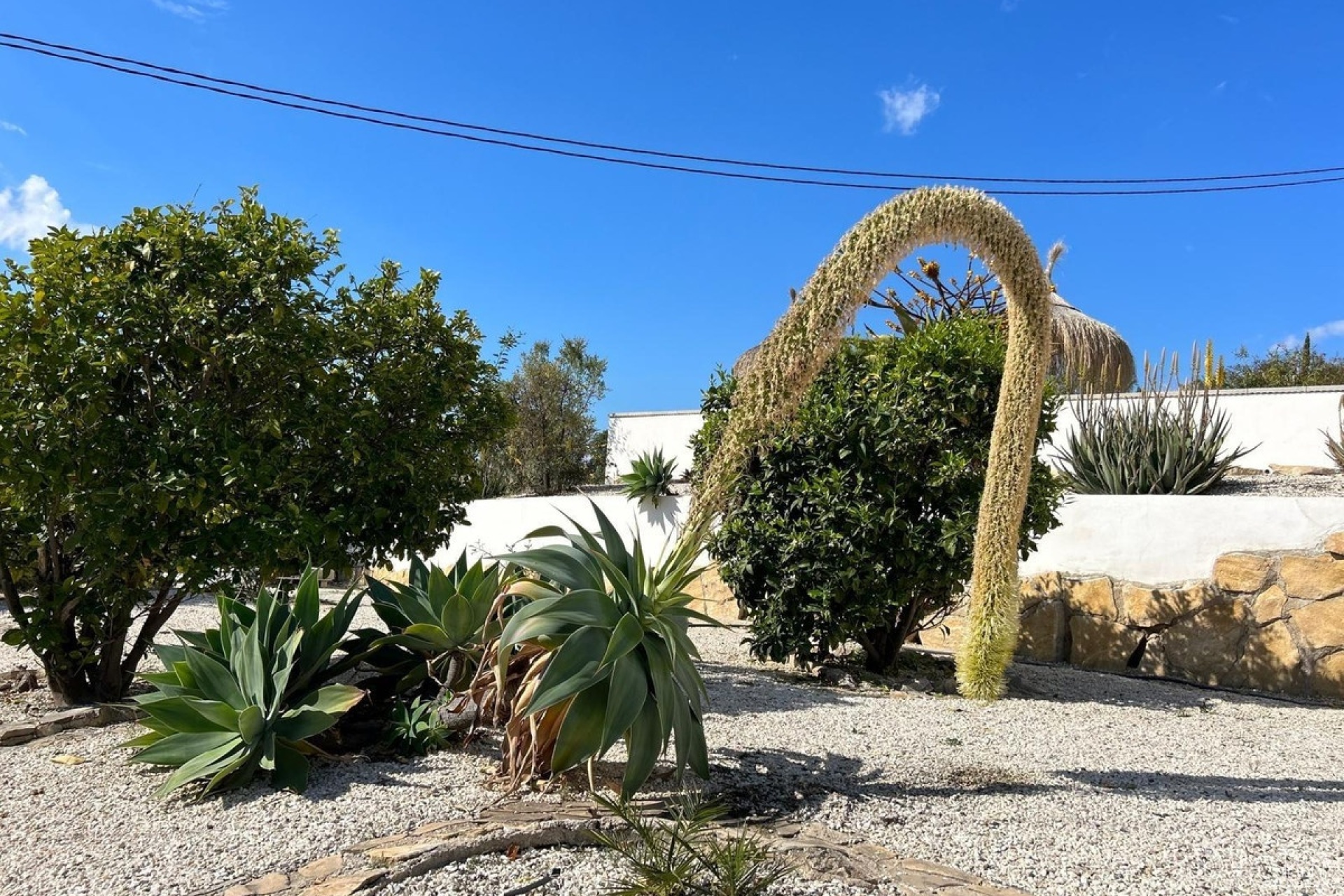 Revente - Villa - Villajoyosa - Villajoyosa Centro