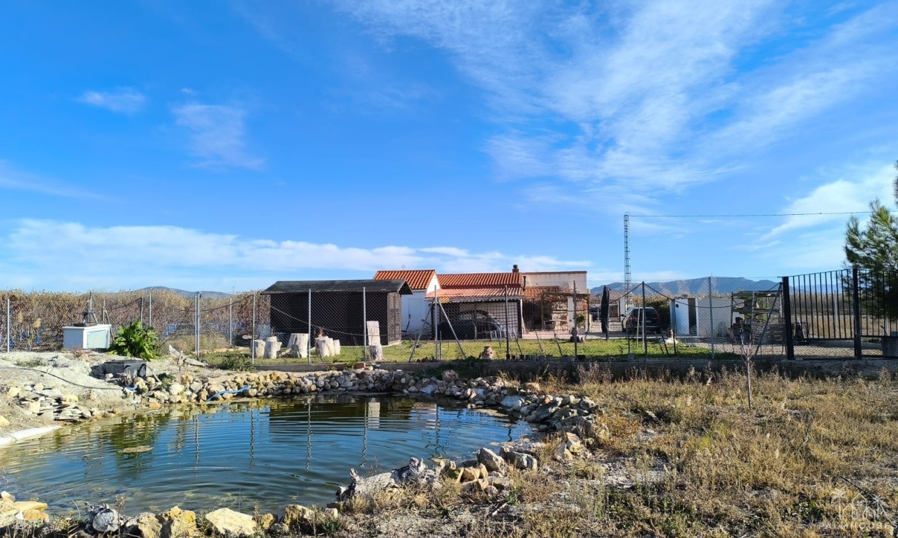 Revente - Villa - Villena - Inland