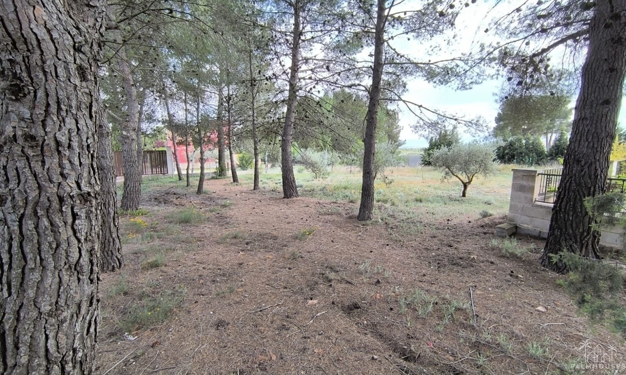 Revente - Villa - Yecla - Inland