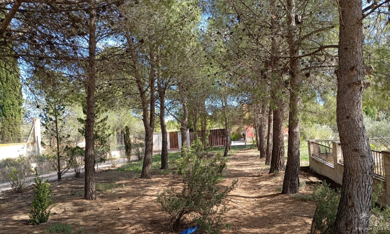 Revente - Villa - Yecla - Inland