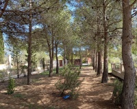Revente - Villa - Yecla - Inland