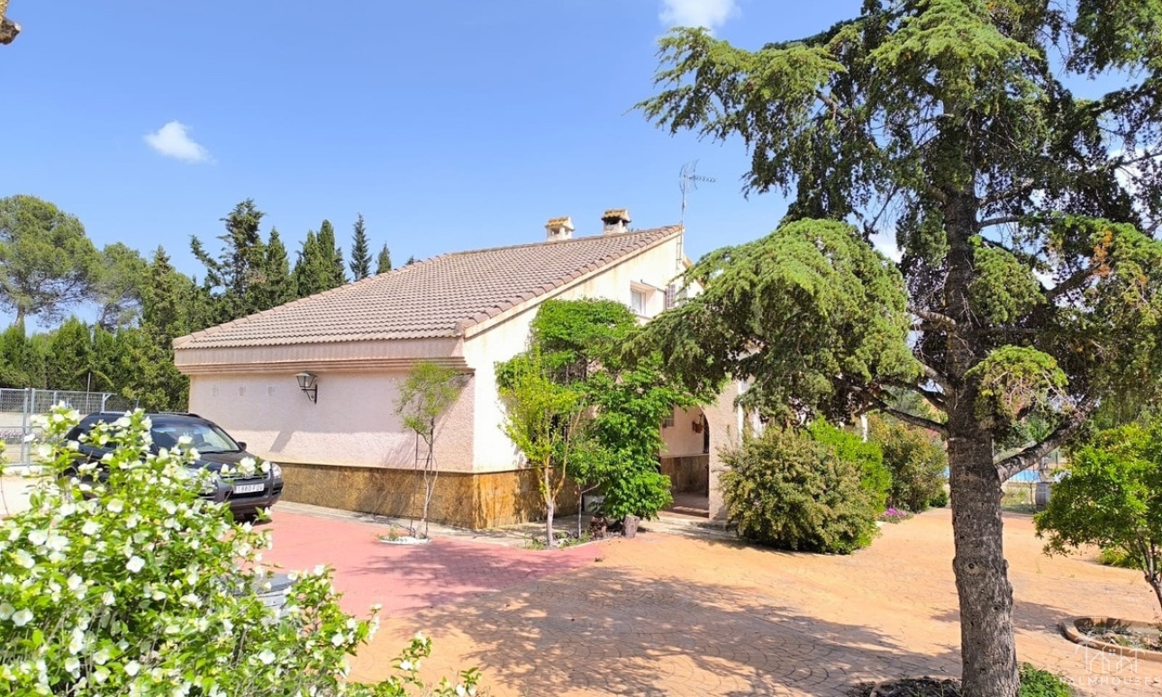 Revente - Villa - Yecla - Yecla Centro