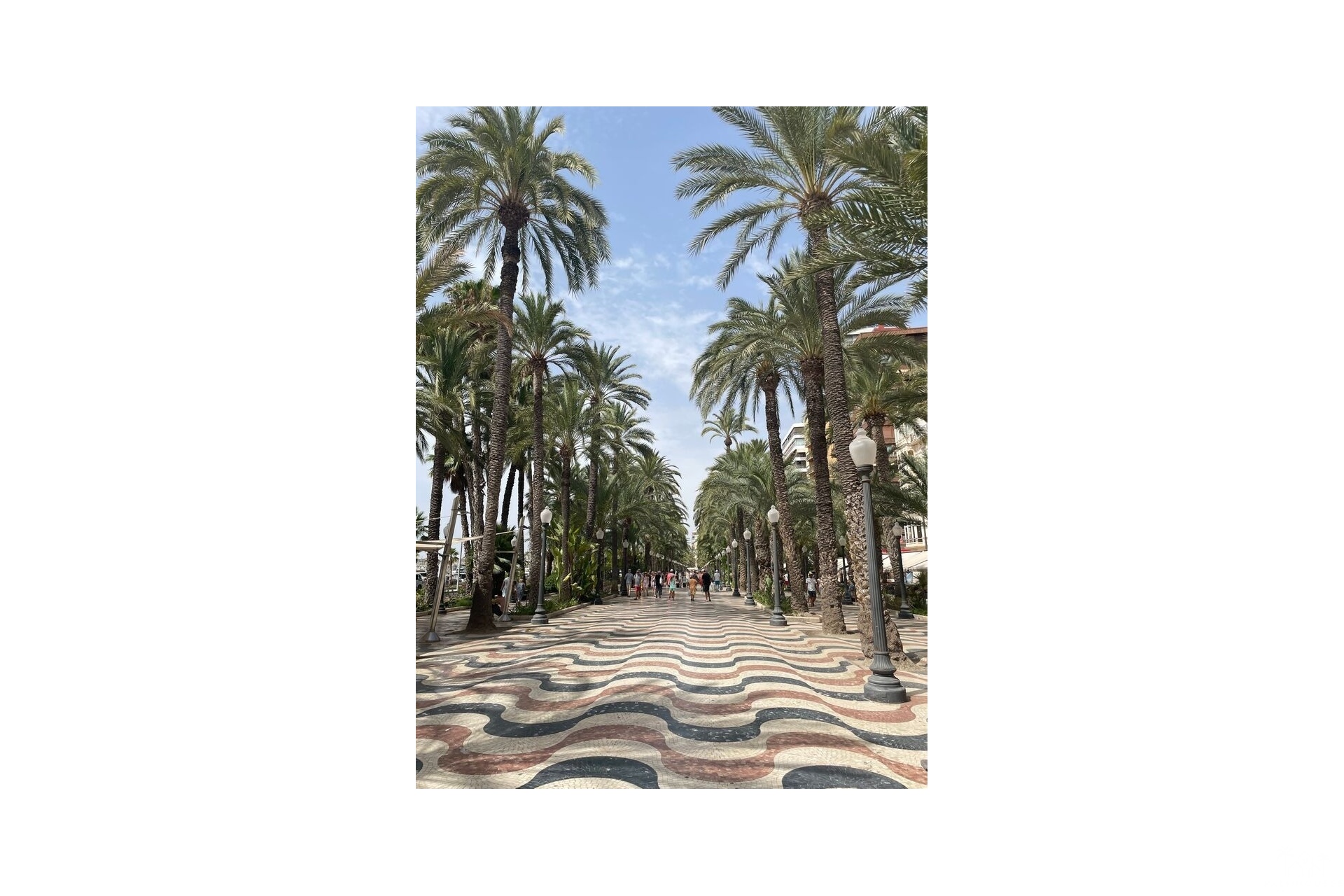 Venta - Apartment - Alicante - Costa Blanca