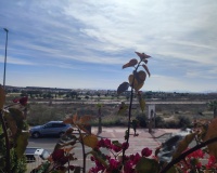 Venta - Apartment - Altaona Golf - Inland
