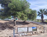Venta - Apartment - Altaona Golf - Inland