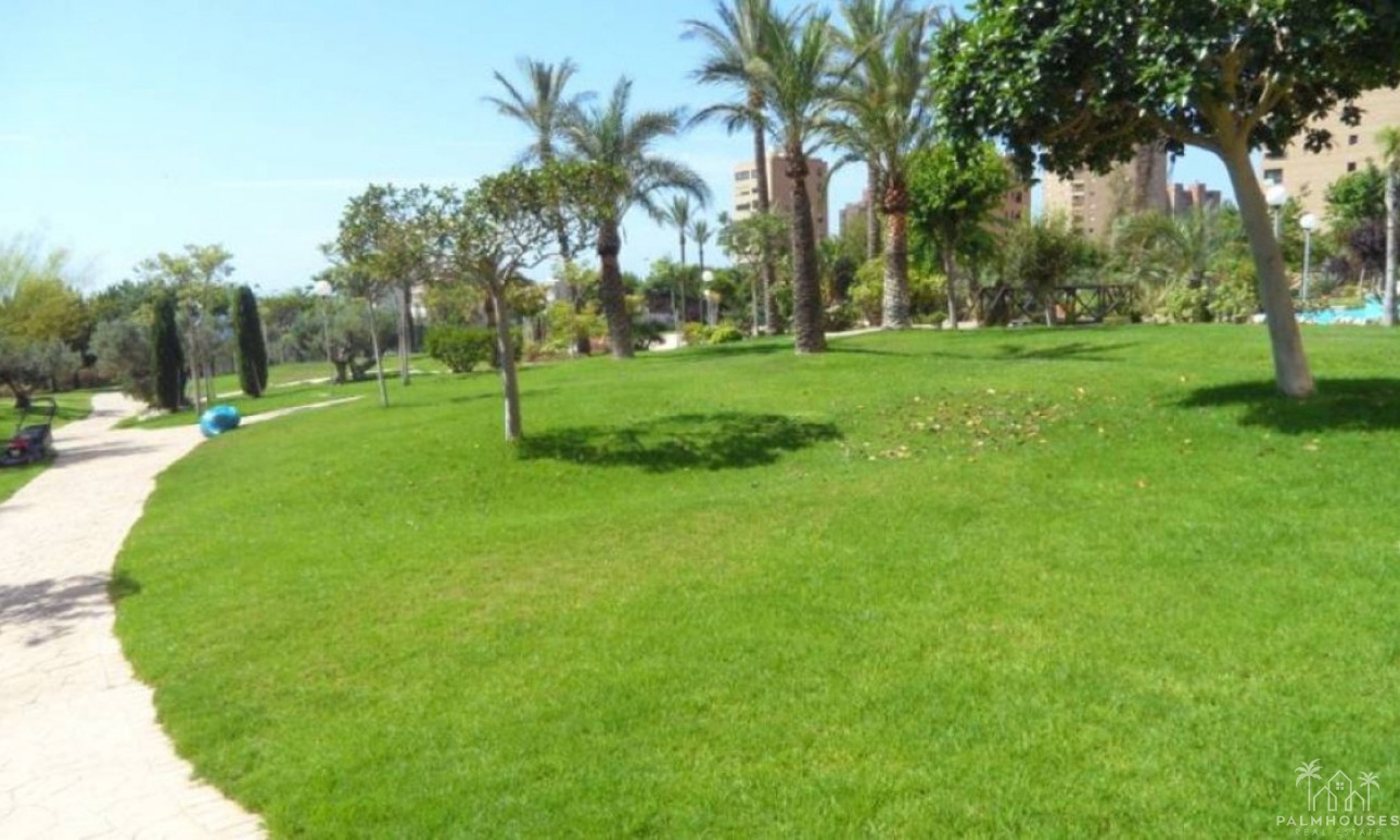 Venta - Apartment - Benidorm - Benidorm Centro