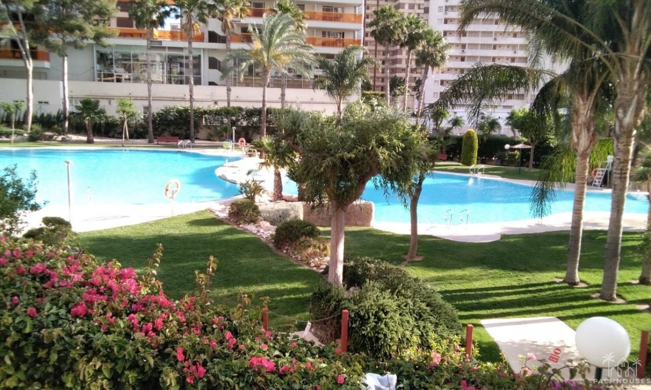 Venta - Apartment - Benidorm - Benidorm Centro