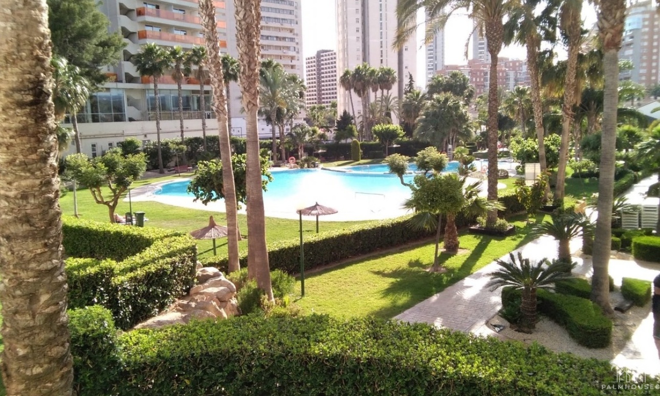 Venta - Apartment - Benidorm - Benidorm Centro