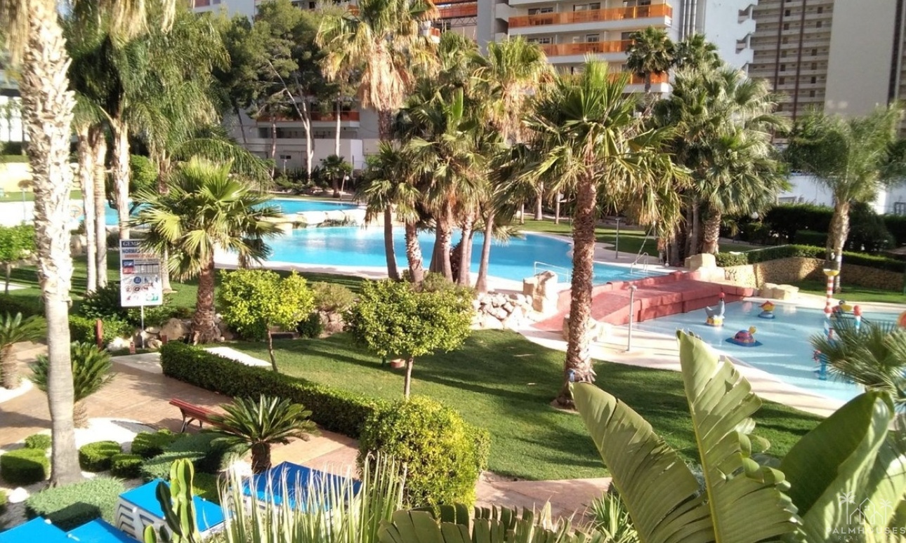 Venta - Apartment - Benidorm - Benidorm Centro