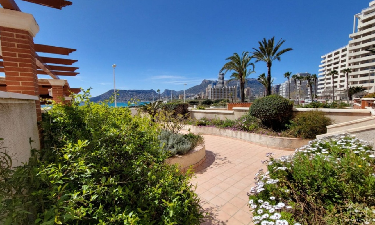 Venta - Apartment - Calpe - Calpe Centro