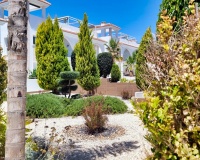 Venta - Apartment - Ciudad Quesada - Doña Pepa