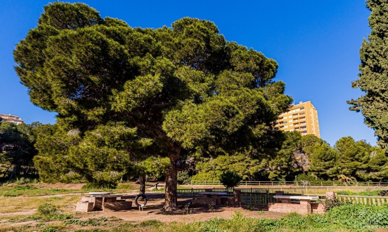Venta - Apartment - Dehesa De Campoamor - Costa Blanca