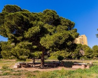 Venta - Apartment - Dehesa De Campoamor - Costa Blanca
