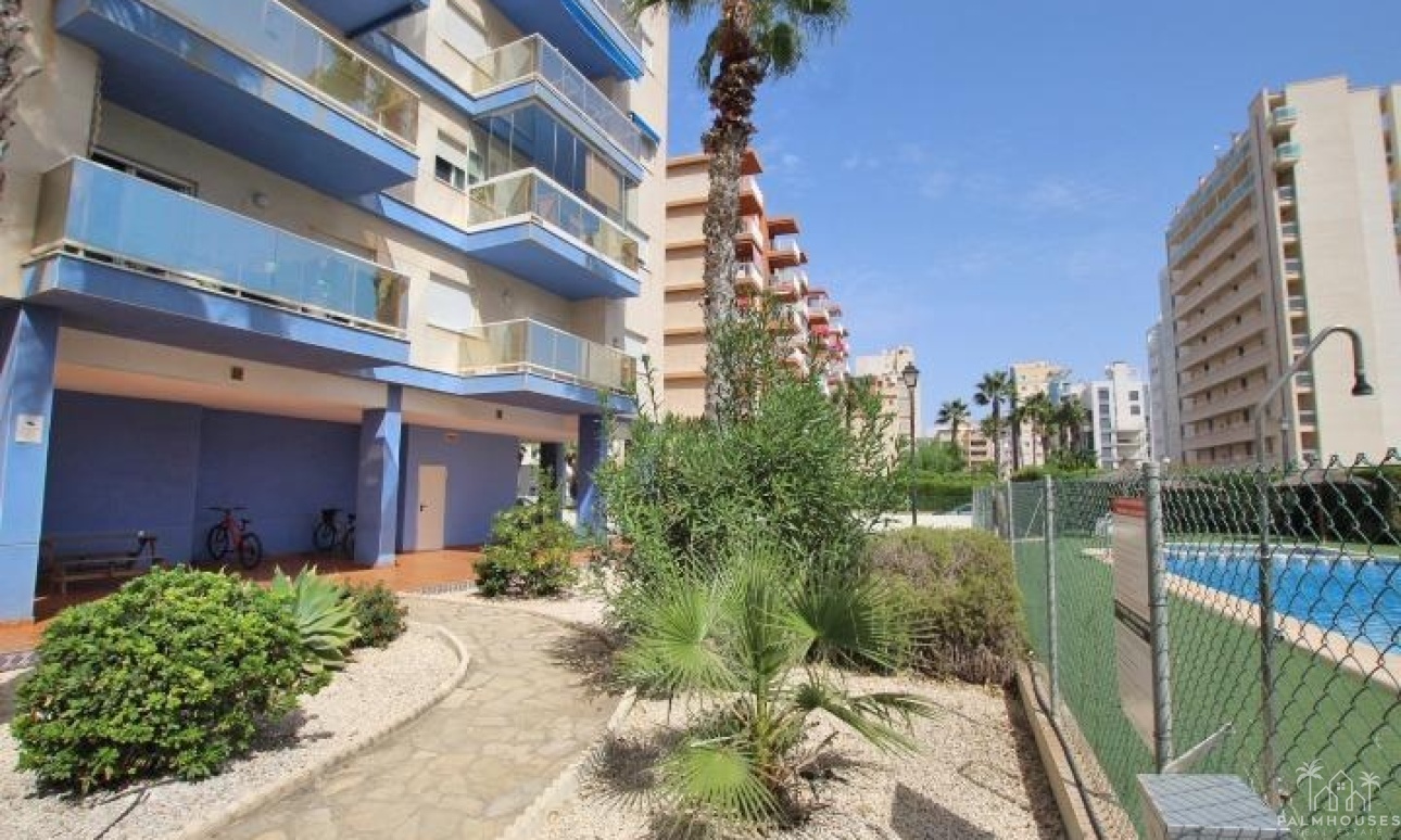 Venta - Apartment - Guardamar del Segura - Avenida Del Puerto