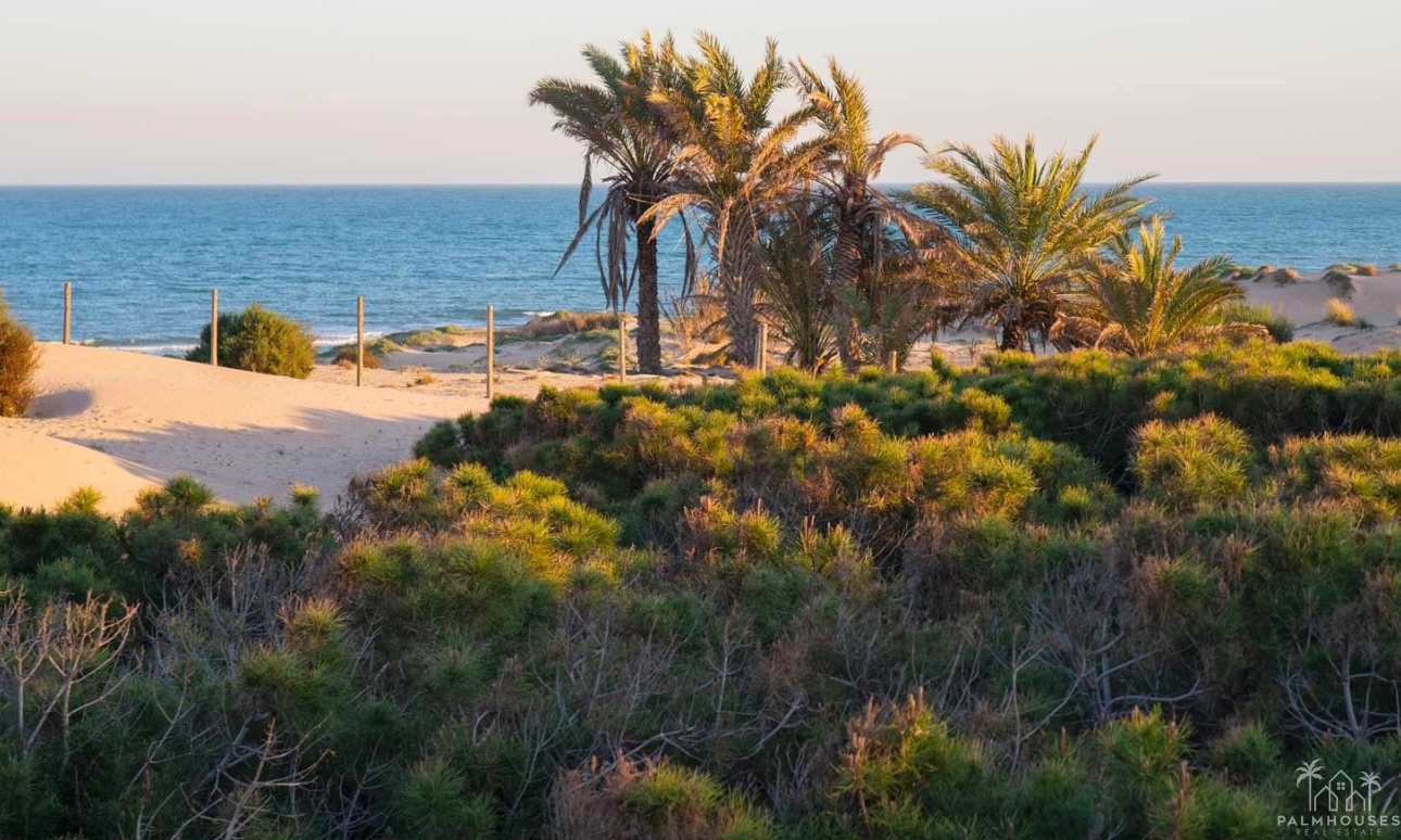 Venta - Apartment - Guardamar del Segura - Costa Blanca