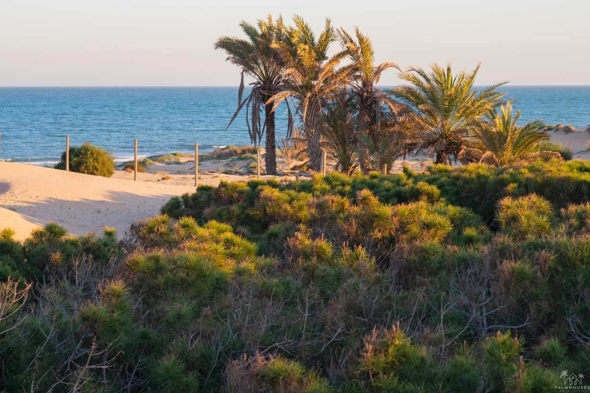 Venta - Apartment - Guardamar del Segura - Costa Blanca