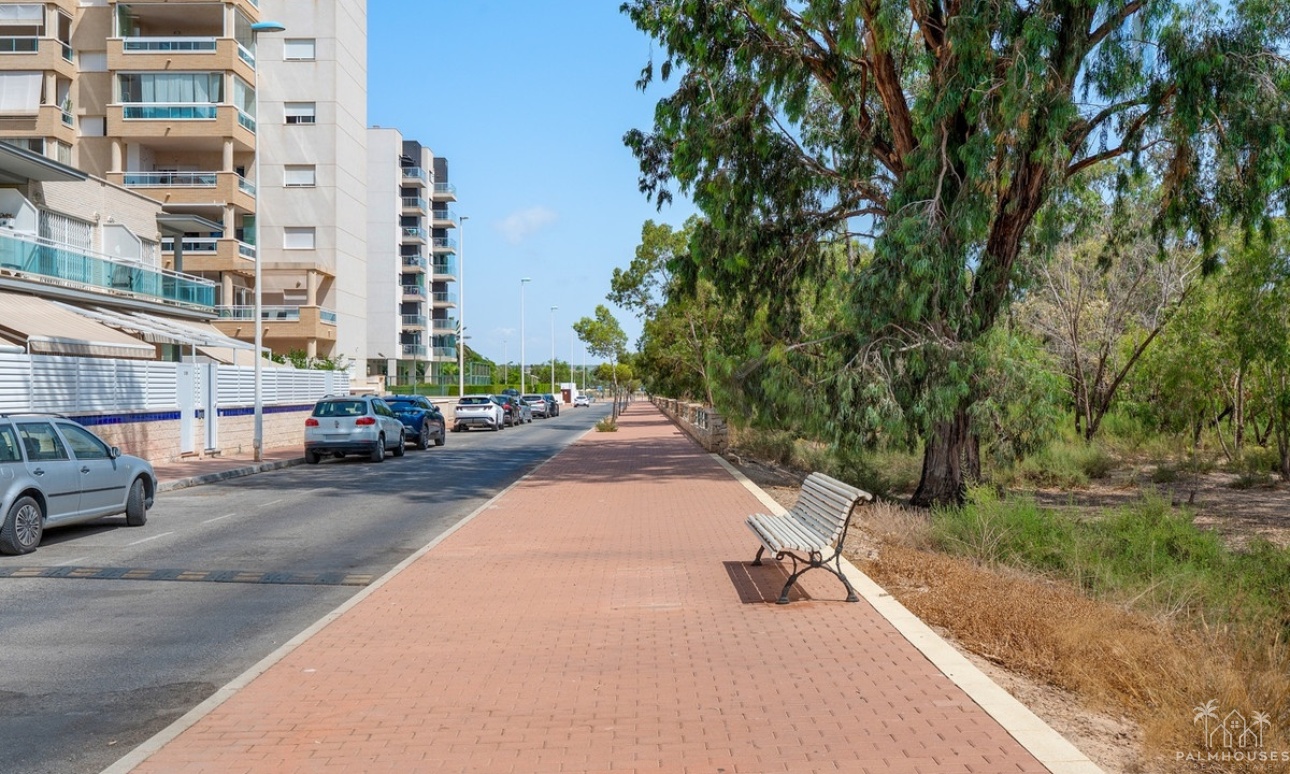 Venta - Apartment - Guardamar del Segura - Guardamar del Segura Centro